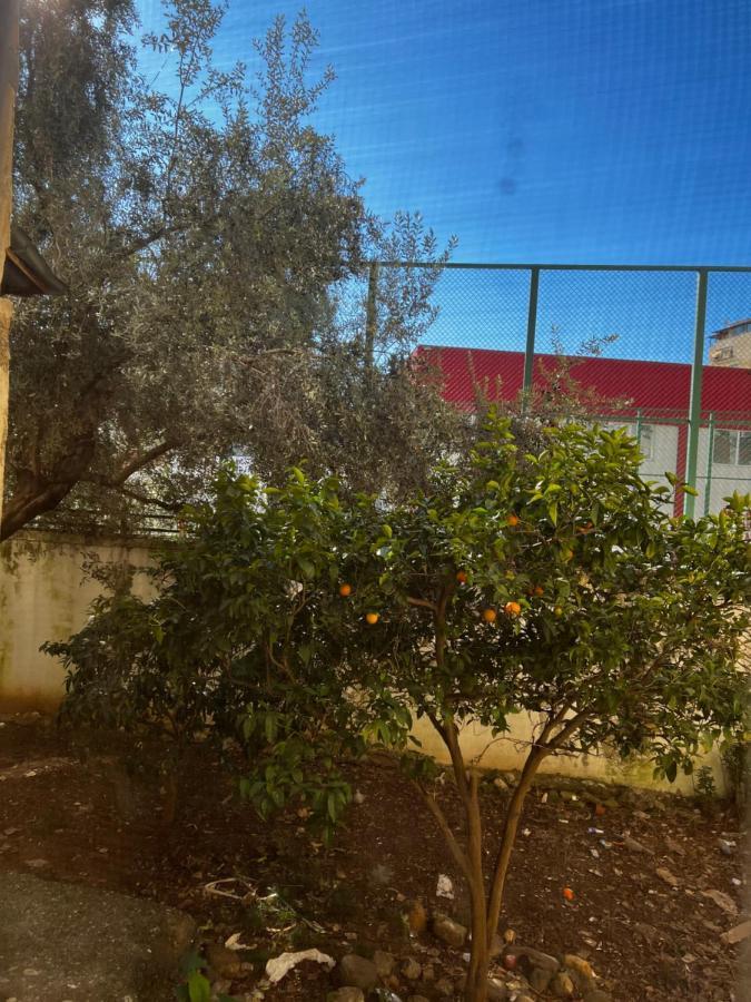 Amion Apartment In Center Of Τίρανα Εξωτερικό φωτογραφία